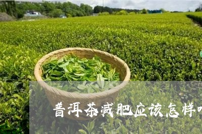 普洱茶减肥应该怎样喝效果好/2023082892726