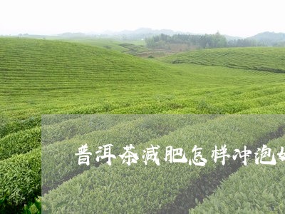 普洱茶减肥怎样冲泡好/2023062573035