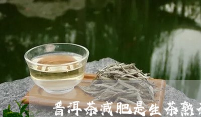 普洱茶减肥是生茶熟茶/2023062847280