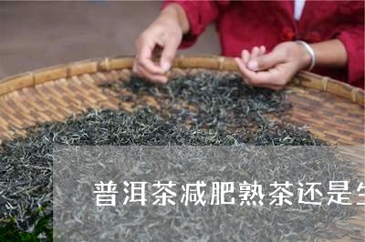 普洱茶减肥熟茶还是生茶好喝/2023052938481