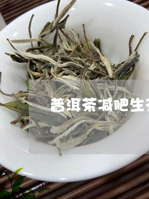 普洱茶减肥生茶好还是熟茶好一点/2023121626039