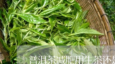 普洱茶减肥用生茶还是熟茶好/2023052921483