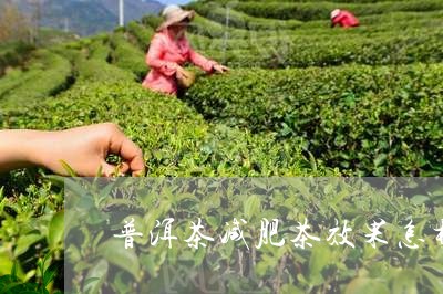 普洱茶减肥茶效果怎样/2023100719705