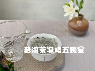 普洱茶减脂五颗星/2023110690694