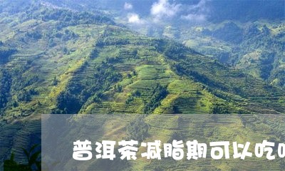 普洱茶减脂期可以吃吗/2023110385070