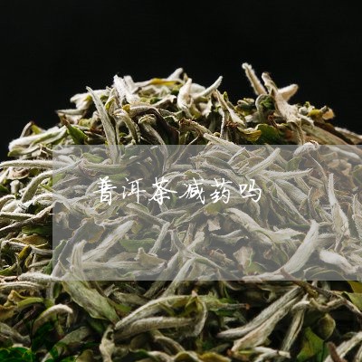 普洱茶减药吗/2023042589027