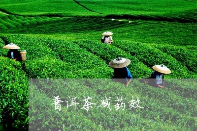 普洱茶减药效/2023042744972