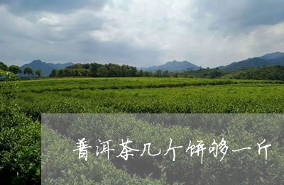 普洱茶几个饼够一斤/2023092723027