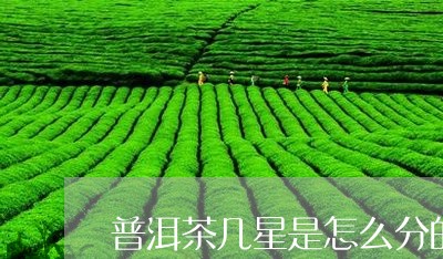 普洱茶几星是怎么分的/2023061452584