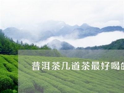 普洱茶几道茶最好喝的是哪一种/2023082840604