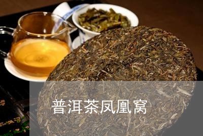 普洱茶凤凰窝/2023042797665