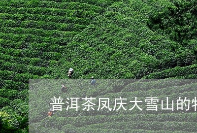 普洱茶凤庆大雪山的特点/2023110635837