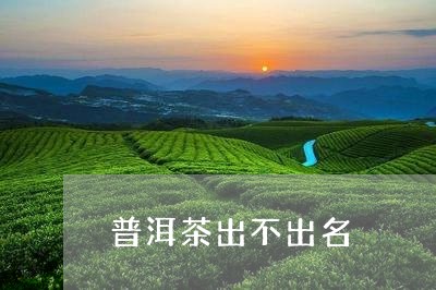 普洱茶出不出名/2023102605261