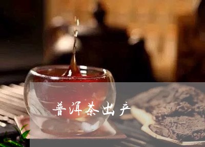 普洱茶出产/2023090693937