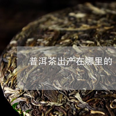 普洱茶出产在哪里的/2023120563926