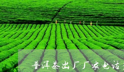 普洱茶出厂厂家电话多少/2023101791605