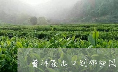 普洱茶出口到哪些国家最多呢/2023082606370