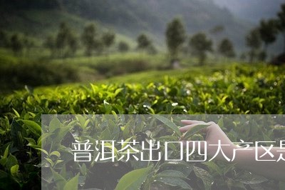 普洱茶出口四大产区是哪四个/2023121641047