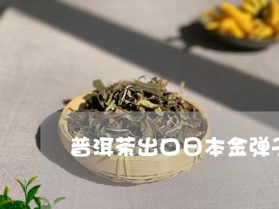 普洱茶出口日本金弹子/2023122004137