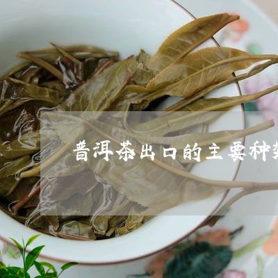 普洱茶出口的主要种类/2023062549806