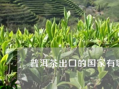 普洱茶出口的国家有哪些/2023103179401