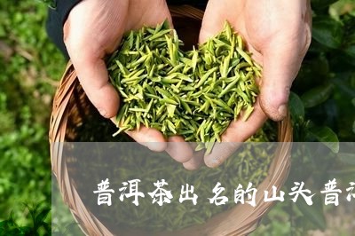 普洱茶出名的山头普洱茶鞣酸/2023052788281