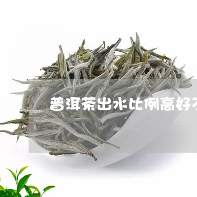 普洱茶出水比例高好不好/2023110499271