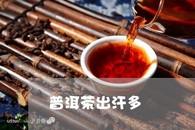 普洱茶出汗多/2023042668521