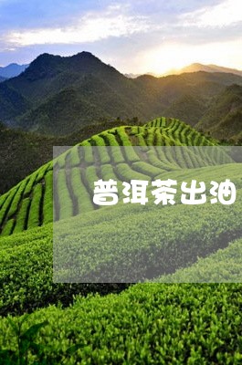 普洱茶出油/2023090606240