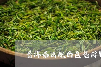 普洱茶出现白色悬浮物/2023062357492