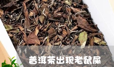 普洱茶出现老鼠屎/2023120486370