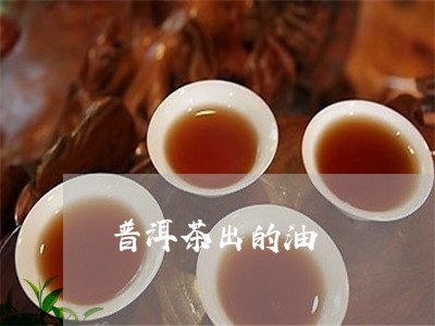 普洱茶出的油/2023082977592