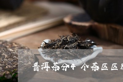 普洱茶分4个茶区区别在哪/2023121620596