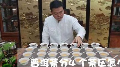 普洱茶分4个茶区怎么分/2023082785937