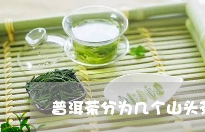 普洱茶分为几个山头茶种/2023112807261