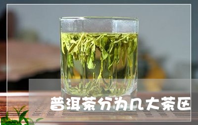 普洱茶分为几大茶区/2023070958594