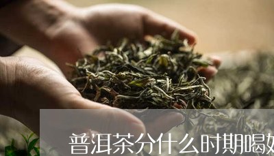 普洱茶分什么时期喝好的/2023121692846