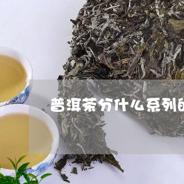 普洱茶分什么系列的茶类/2023121609270