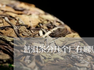 普洱茶分几个厂在哪里进货/2023082783835