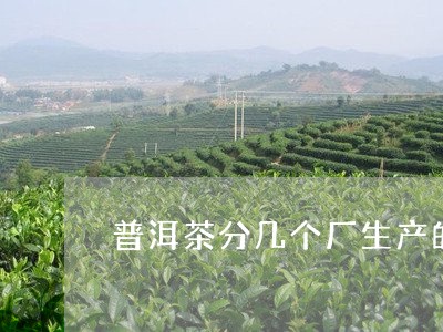 普洱茶分几个厂生产的茶/2023082993826