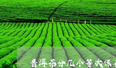 普洱茶分几个等次保存最好/2023082985725