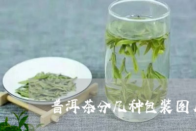 普洱茶分几种包装图片/2023110311037