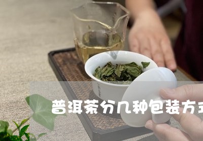 普洱茶分几种包装方式图片/2023082989503