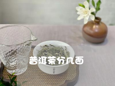 普洱茶分几面/2023042573383