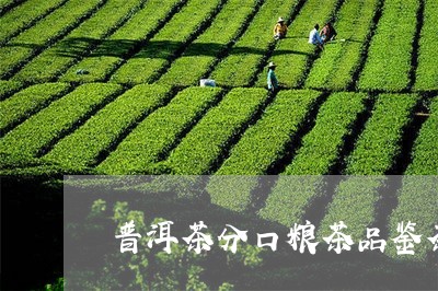 普洱茶分口粮茶品鉴茶吗/2023103146169