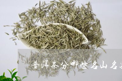 普洱茶分哪些名山名寨/2023062235949