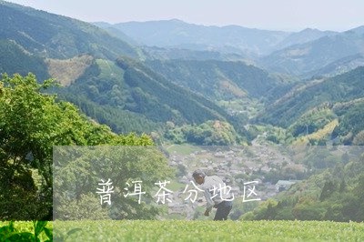 普洱茶分地区/2023042725240