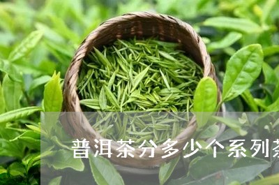 普洱茶分多少个系列茶类/2023121654825