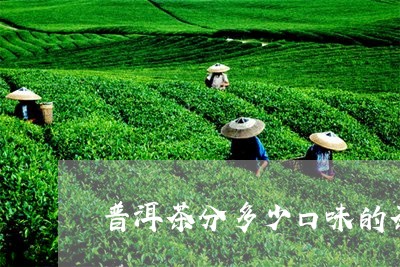 普洱茶分多少口味的茶/2023110622614