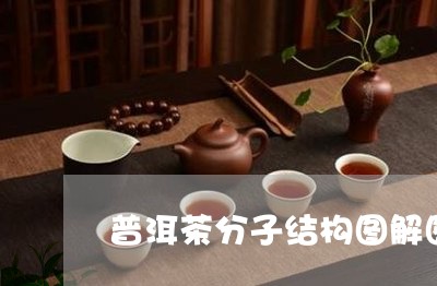 普洱茶分子结构图解图/2023082974048